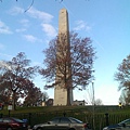 IMAG0933.jpg