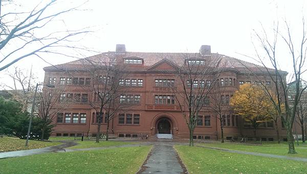 IMAG0956.jpg