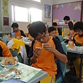 DSC03106.JPG