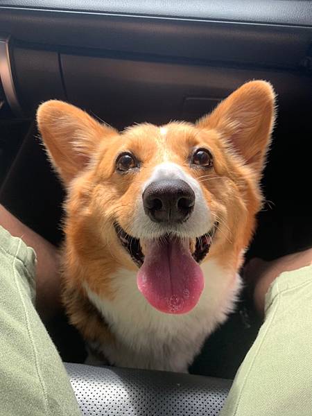 2020_22.5.30 宜蘭腳旅行_200629