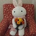 兔子捧花