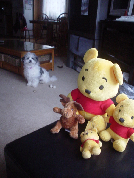旋轉DSC00015.JPG 旋轉DSC00015.JPG
