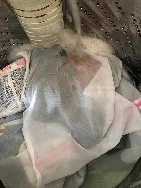 300747532_10228557368502796_5266691291080824241_n.jpg 300747532_10228557368502796_5266691291080824241_n.jpg