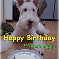 生日快樂 :)