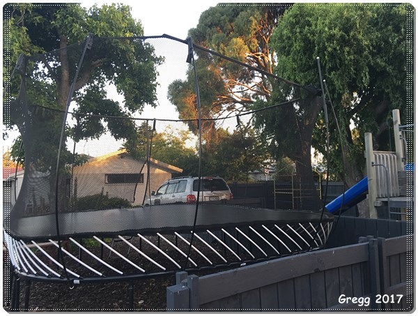 IMG_5515.JPG IMG_5515.JPG