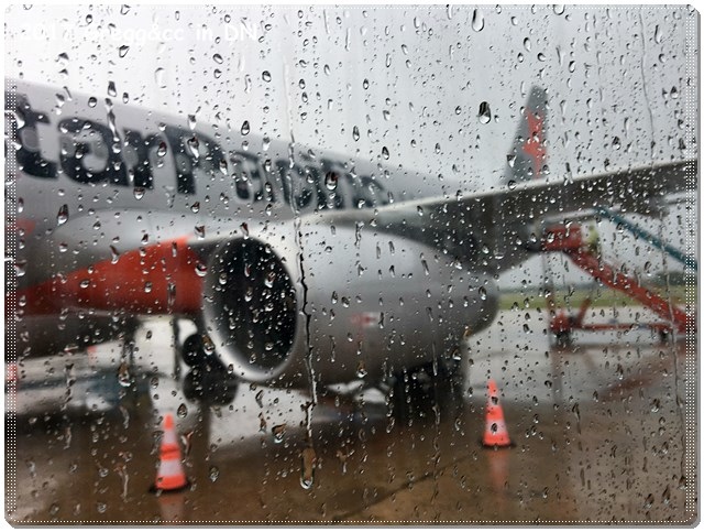 IMG_6737.JPG IMG_6737.JPG