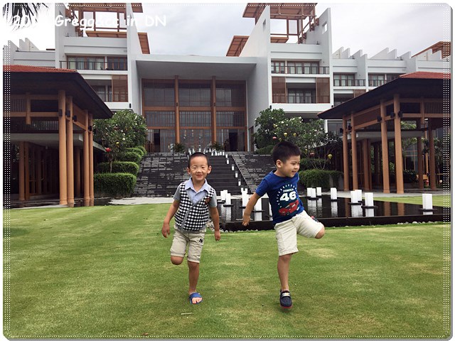 IMG_6803.JPG IMG_6803.JPG