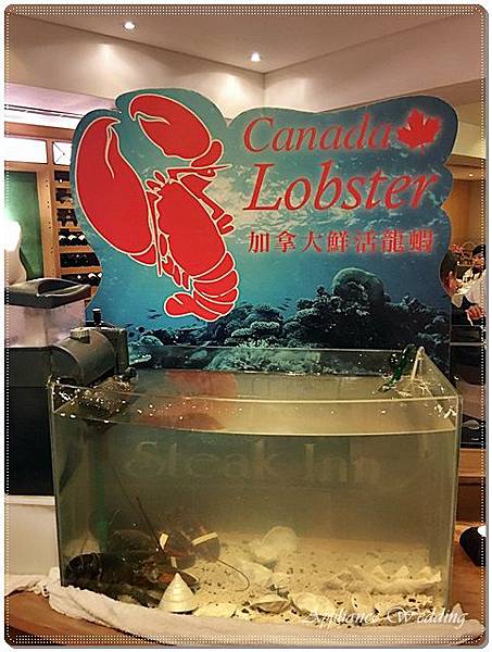 IMG_3697.JPG IMG_3697.JPG