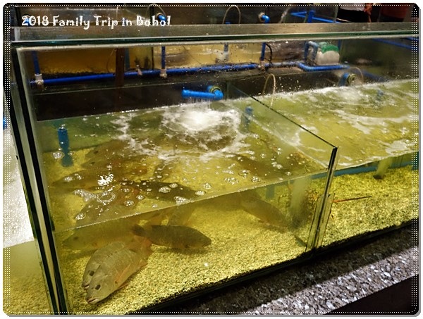 DSC01034.JPG DSC01034.JPG