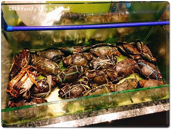 宿霧DAY1_180220_0026.jpg 宿霧DAY1_180220_0026.jpg