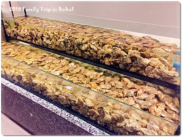 宿霧DAY1_180220_0027.jpg 宿霧DAY1_180220_0027.jpg