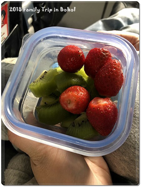 Bohol_180220_0335.jpg Bohol_180220_0335.jpg