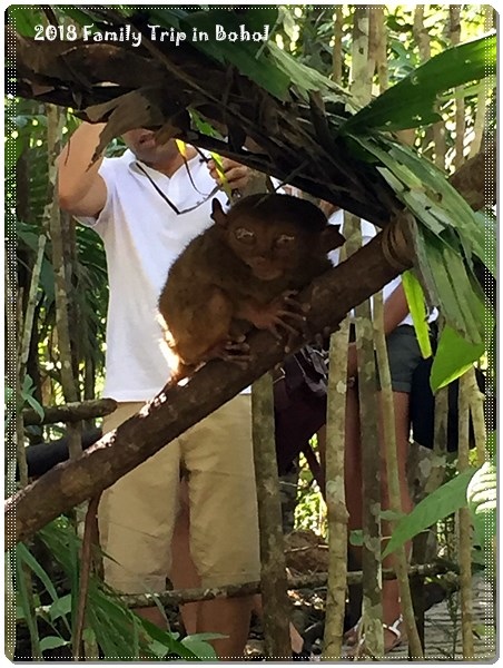 Day2_180220_0039.jpg Day2_180220_0039.jpg