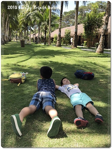 Bohol_180220_0165.jpg Bohol_180220_0165.jpg