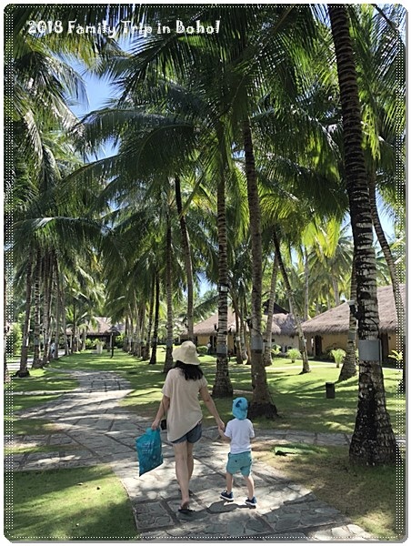 Bohol_180220_0161.jpg
