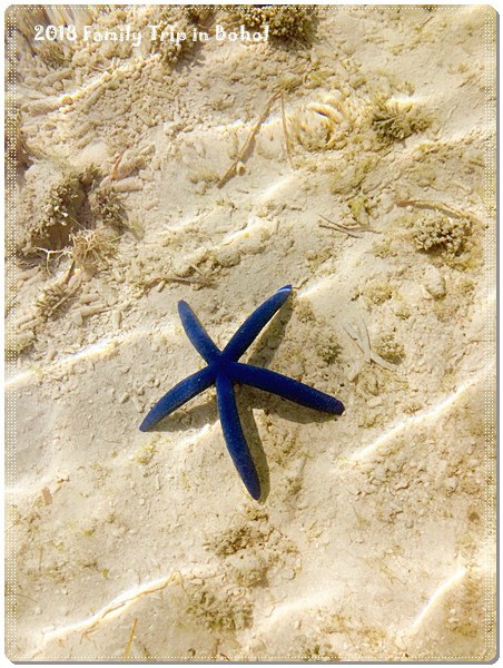 Day3_180220_0051.jpg Day3_180220_0051.jpg