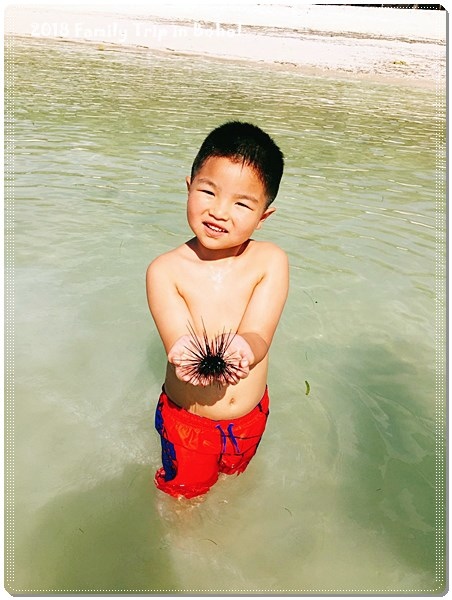 Day3_180220_0045.jpg Day3_180220_0045.jpg