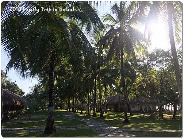 IMG_0852.JPG IMG_0852.JPG