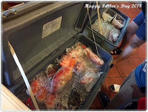 IMG_6087.JPG IMG_6087.JPG