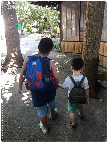 IMG_1053.JPG IMG_1053.JPG