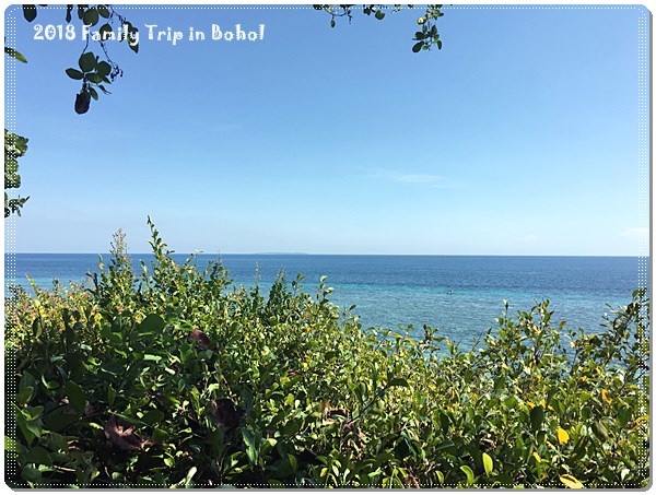 IMG_1050.JPG IMG_1050.JPG