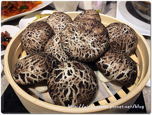 IMG_5925.JPG IMG_5925.JPG