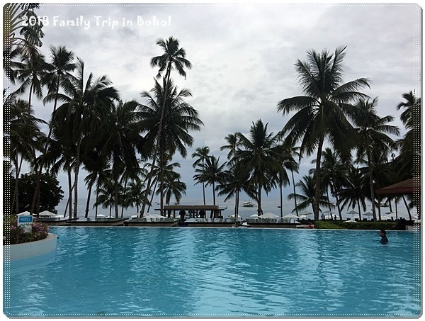 IMG_1341.JPG IMG_1341.JPG