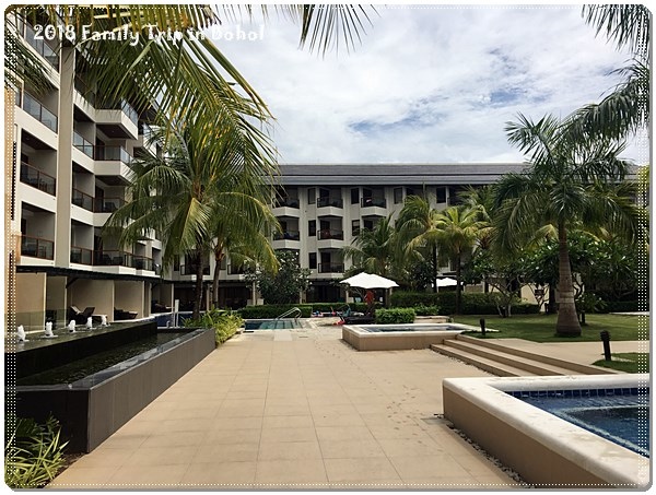 IMG_1382.JPG IMG_1382.JPG