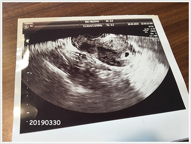 IMG_3265.JPG IMG_3265.JPG