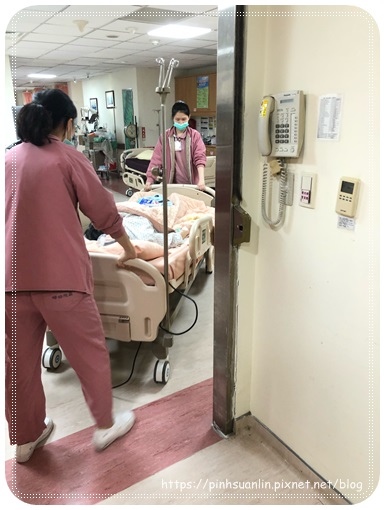 54DCF669-5ECE-4D9B-9E2D-8115BE52B811.jpg 54DCF669-5ECE-4D9B-9E2D-8115BE52B811.jpg