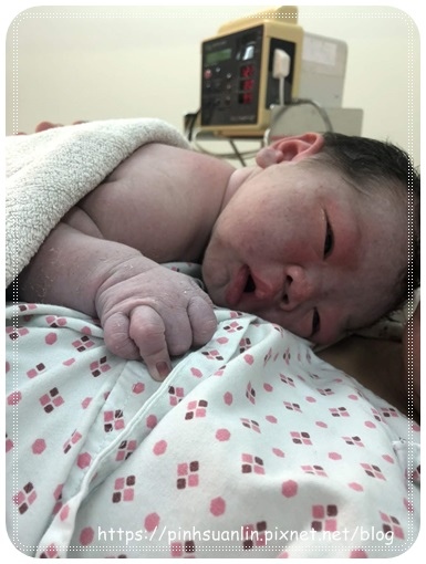 IMG_6711.JPG IMG_6711.JPG