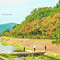東安古橋-12(2).jpg