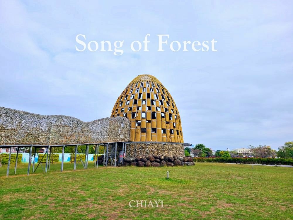 Song Of The Forest-cover(2).jpg