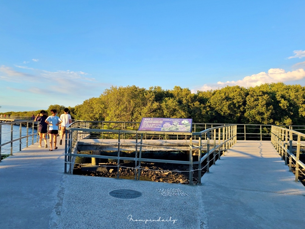 sea and sky walk-10.jpg