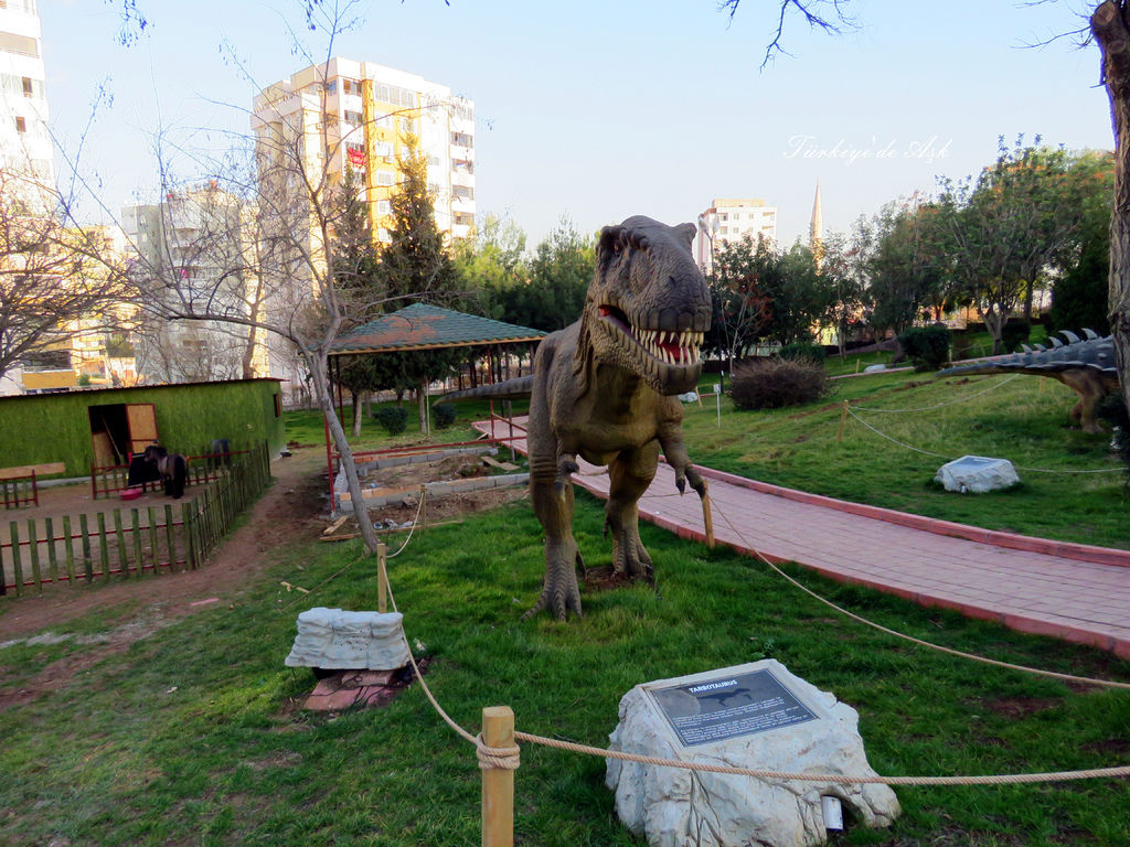 Doğal Park  (6).jpg