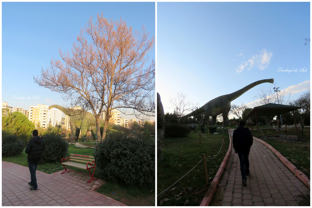 Doğal Park  (17).jpg