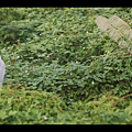2019-11-17 (372).png