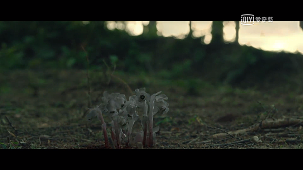 2020-03-03 (296).png