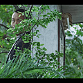 2021-05-30 (124).png