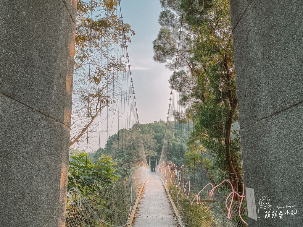 | 台南旅遊 | 新化官田山上怎麼玩？精選台南14個熱門景點，5家必吃美食，從早到晚玩透透懶人包