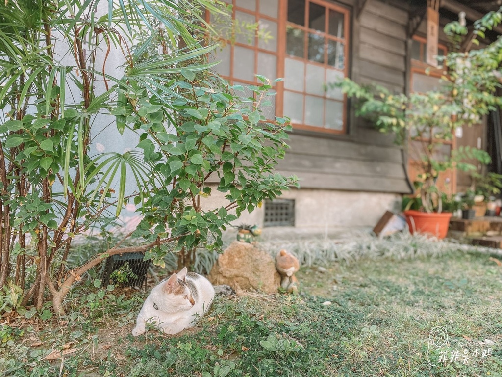 | 台南旅遊 | 新化官田山上怎麼玩？精選台南14個熱門景點，5家必吃美食，從早到晚玩透透懶人包