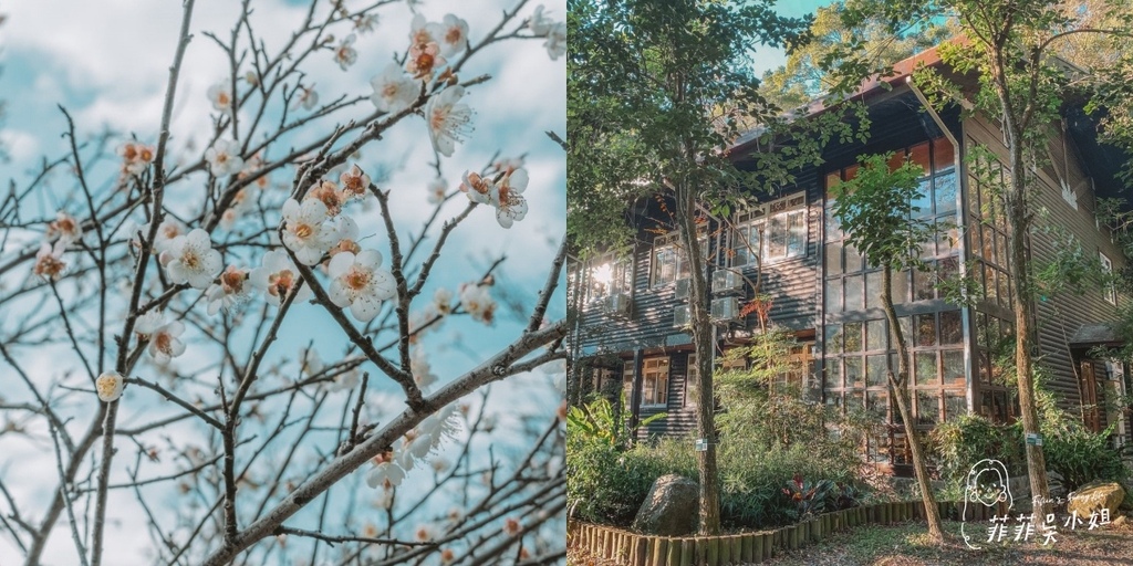 | 南投住宿 | 蟬說 : 和社山林 南投賞梅住宿推薦