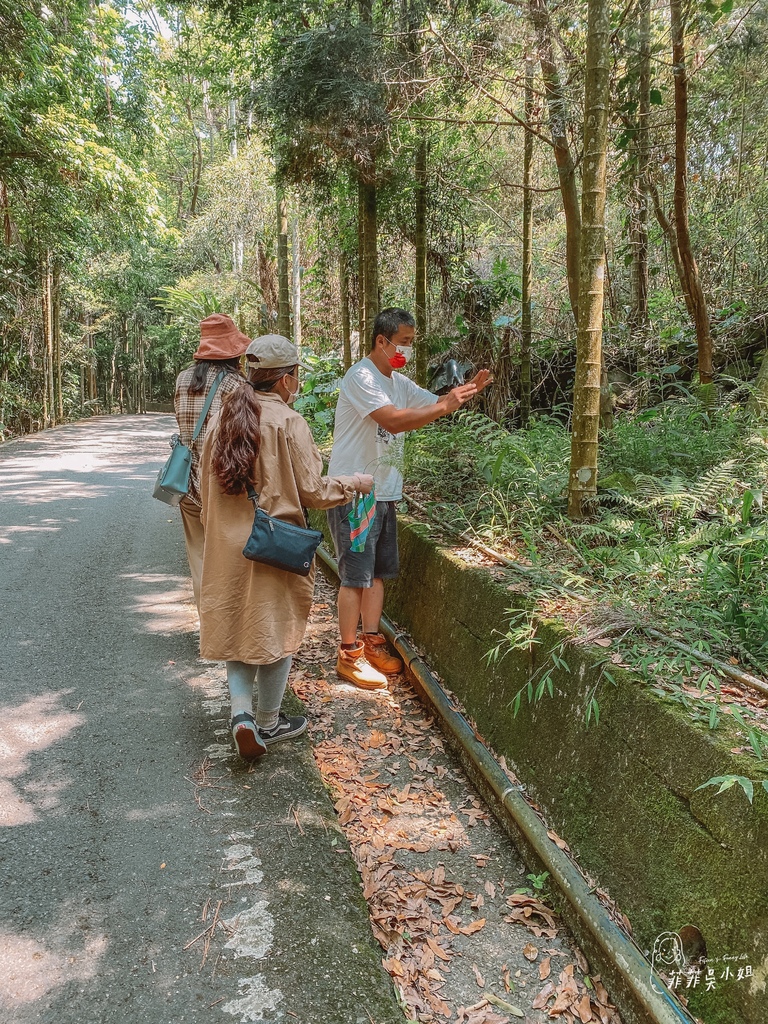 2022南投農村深度旅行