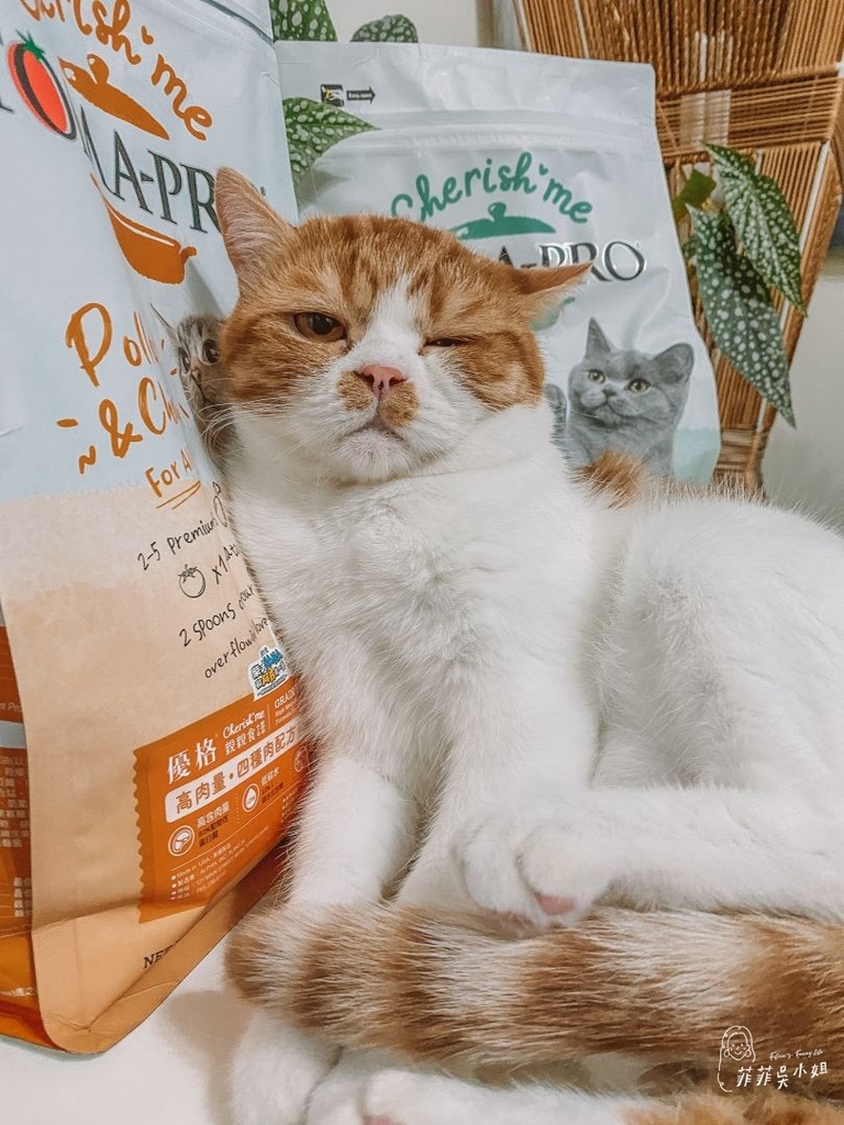 貓咪飼料推薦 TOMA-PRO 優格親親食譜 高肉量配方