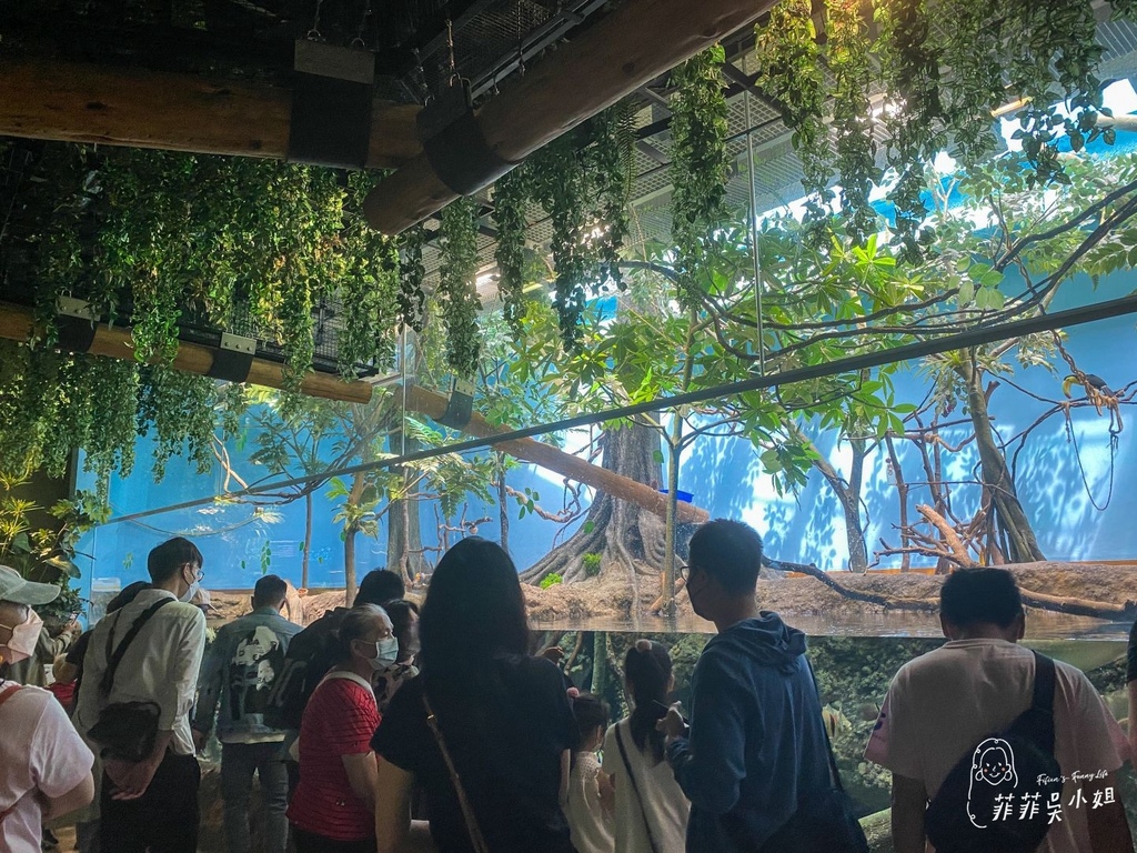 Xpark桃園水族館