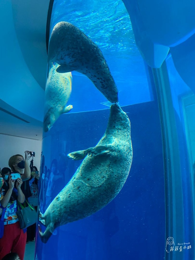 Xpark桃園水族館