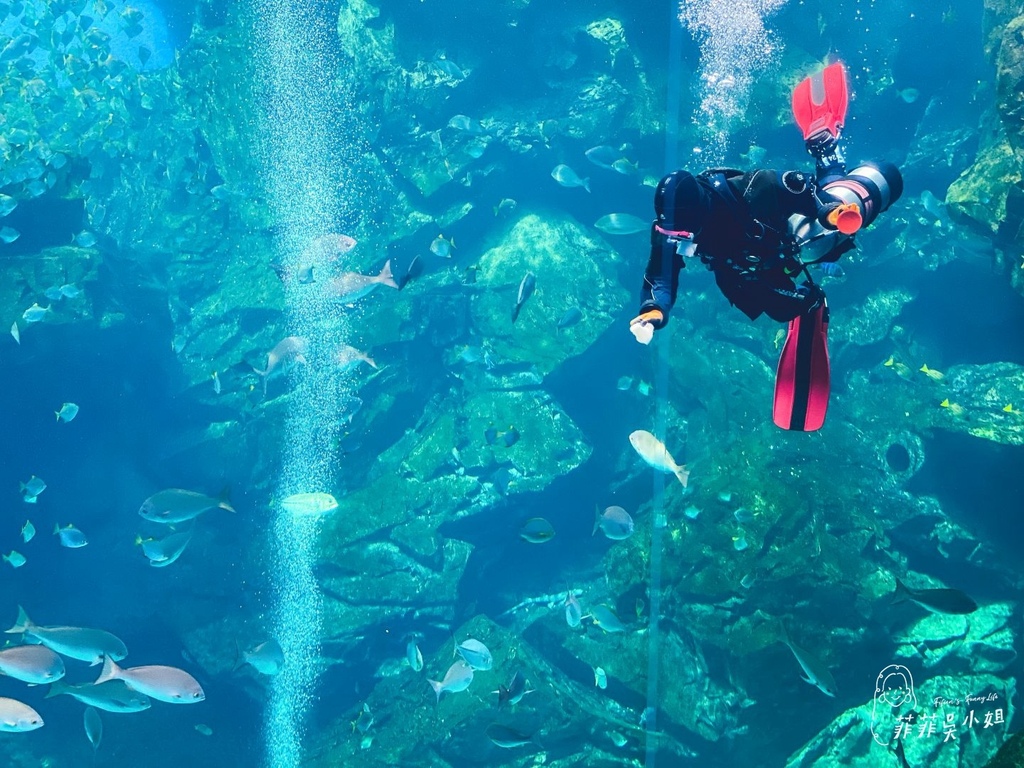 Xpark桃園水族館