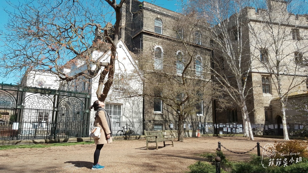 英國劍橋大學一日遊