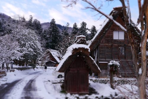 白川鄉合掌村