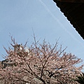 櫛田神社